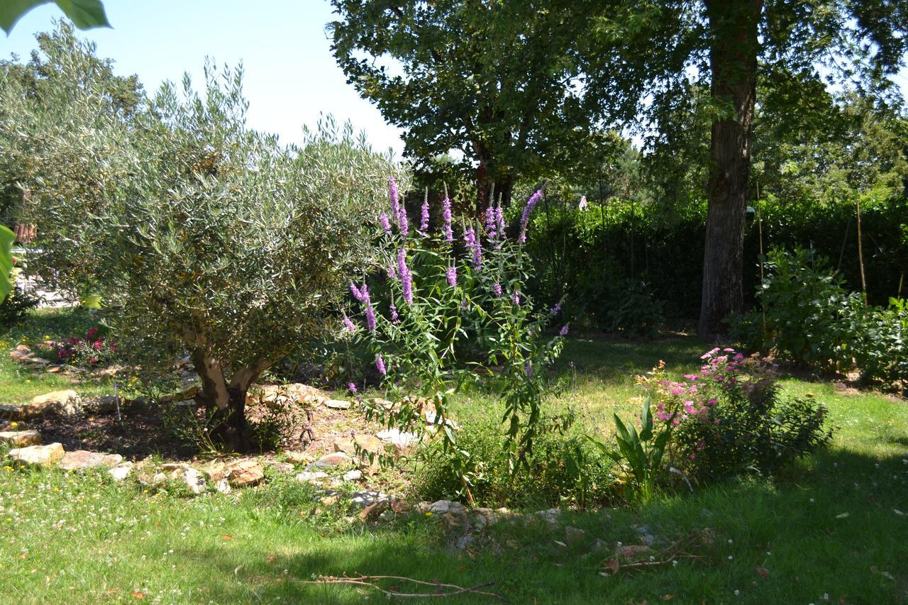 Hotel Le Castel Brissac-Quince Exterior foto