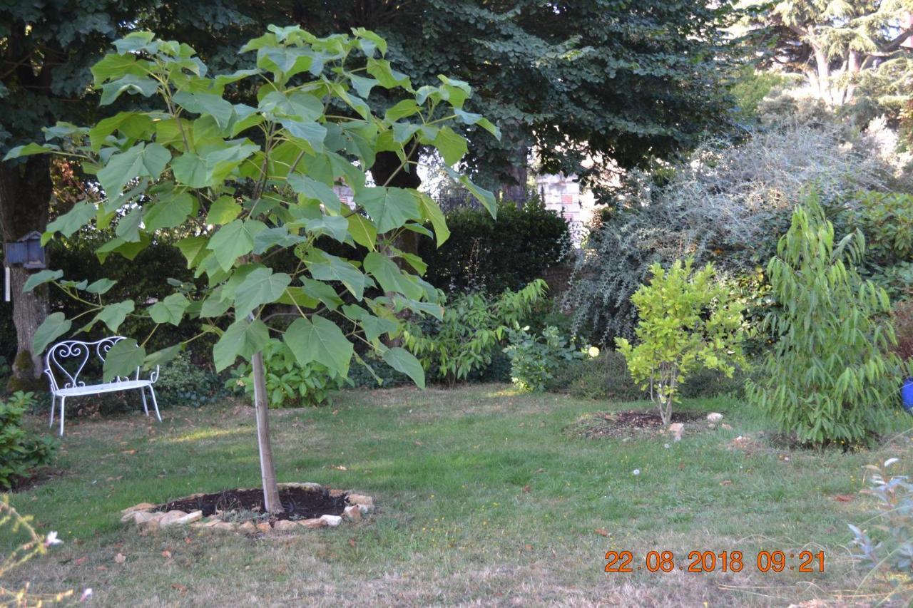 Hotel Le Castel Brissac-Quince Exterior foto