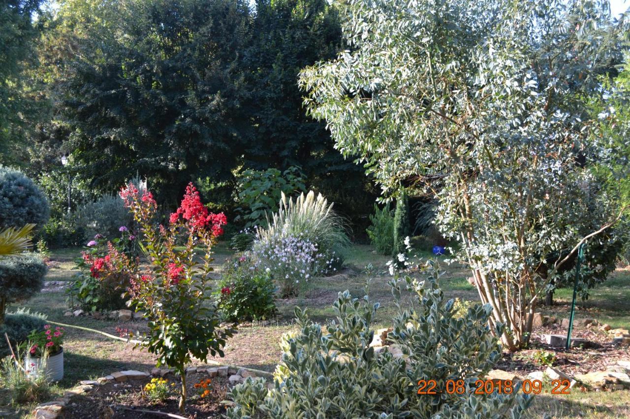 Hotel Le Castel Brissac-Quince Exterior foto